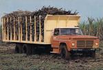 Ford F-22000 81 P1 1981 года (BR)